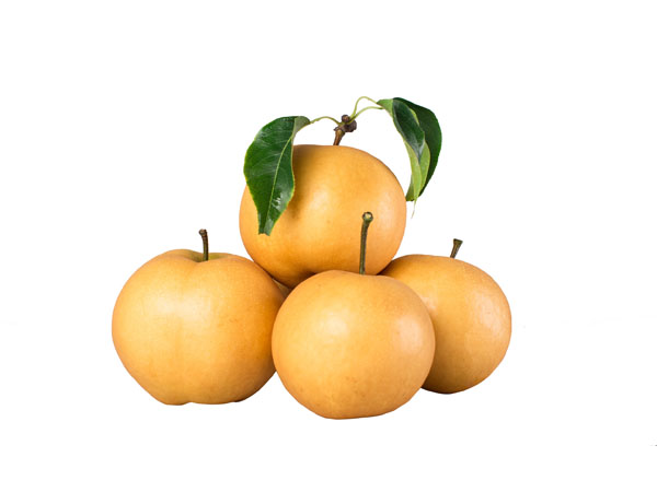 �ƺ�����