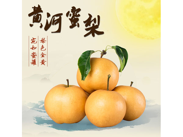 �ƺ�����